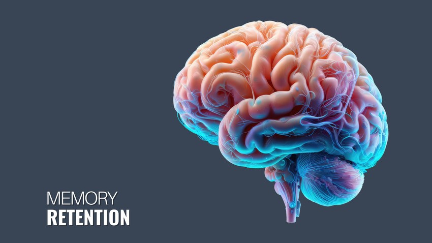 Digital illustration of a human brain with the words "Memory Retention" displayed in the bottom left corner on a dark background, ideal for MCCQE Part I exam preparation through Ace QBank online question bank.
