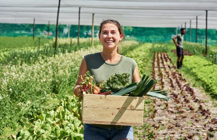 A woman carrying a wooden crate of vegetables in a farm field, Ace QBank clinical edge, menopause