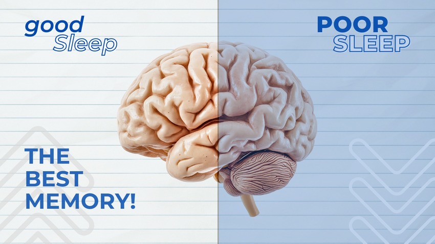 Illustration of a brain split into two halves, labeled "good sleep" and "poor sleep," with text "The Best Memory!" on the left side perfect for acing your MCCQE1 Exam!